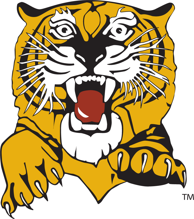Missouri Tigers 1977-1995 Secondary Logo DIY iron on transfer (heat transfer)